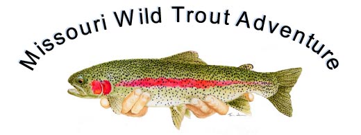 Stream Side Adventures New Program - Missouri Wild Trout