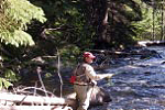 Fly Fishing in the Medicine Bow National Forest
