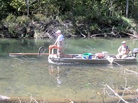 Electro-Fishing in Missouri's Current River