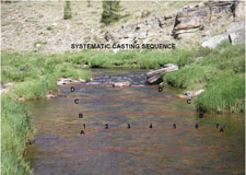 Stream Flow and Fly Fishing:  Cross-section of a typical stream