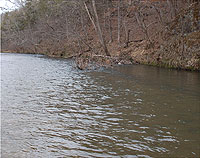 Current River in Missouri