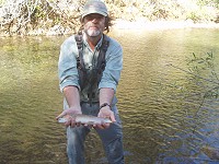 Kern River rainbow trout