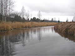 Fly fishing in the Czech Republic