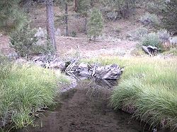 Photo of California's Lassen Creek