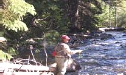 Fly fishing in the Medicine Bow National Forest