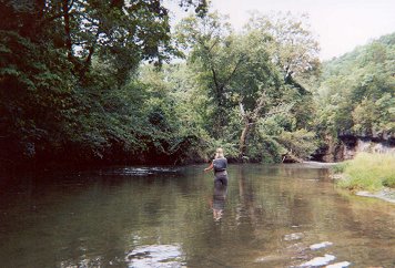 Fly Fishing Tips and Techniques - Cast To Ledges