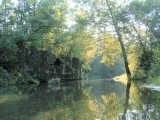 Missouri Fly Fishing Trips by Stream Side Adventures