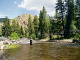 Pictures of Wyoming Fly Fishing Trips