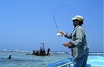 Fly Fishing in Belize