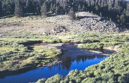 Fly fishing in Wyoming's Hog Park Creek with Stream Side Adventures