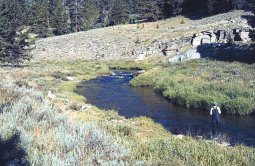 Fly fishing in Wyoming's Hog Park Creek with Stream Side Adventures