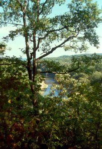 Fly fishing in Missouri's Meramec River with Stream Side Adventures