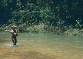 On-stream fly fishing school:  Nymphing and Line Control.