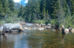 Fly fishing in Wyoming's French Creek with Stream Side Adventures