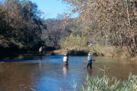 On-stream fly fishing school:  Fishing Terrestrials