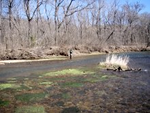Photo of fly fishing in a stream with watercress