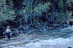 Locations of Wyoming Fly Fishing Trips