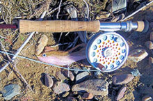 Picture of a small arbor fly reel